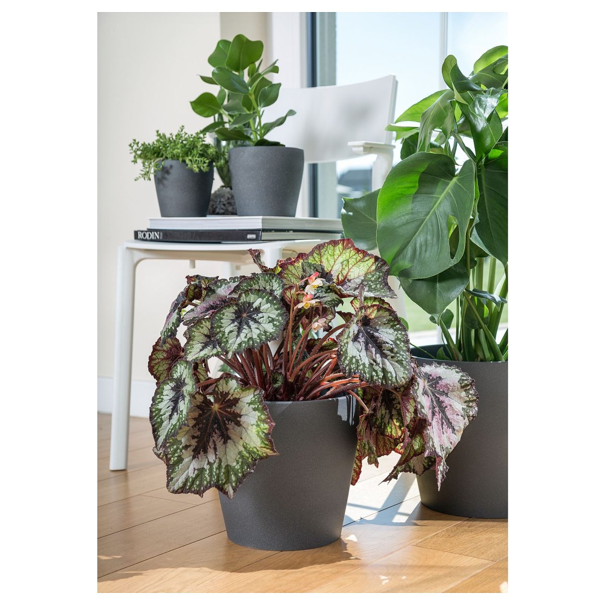 Toprak Saksı, Koyu Gri, 24 cm – 3. görsel