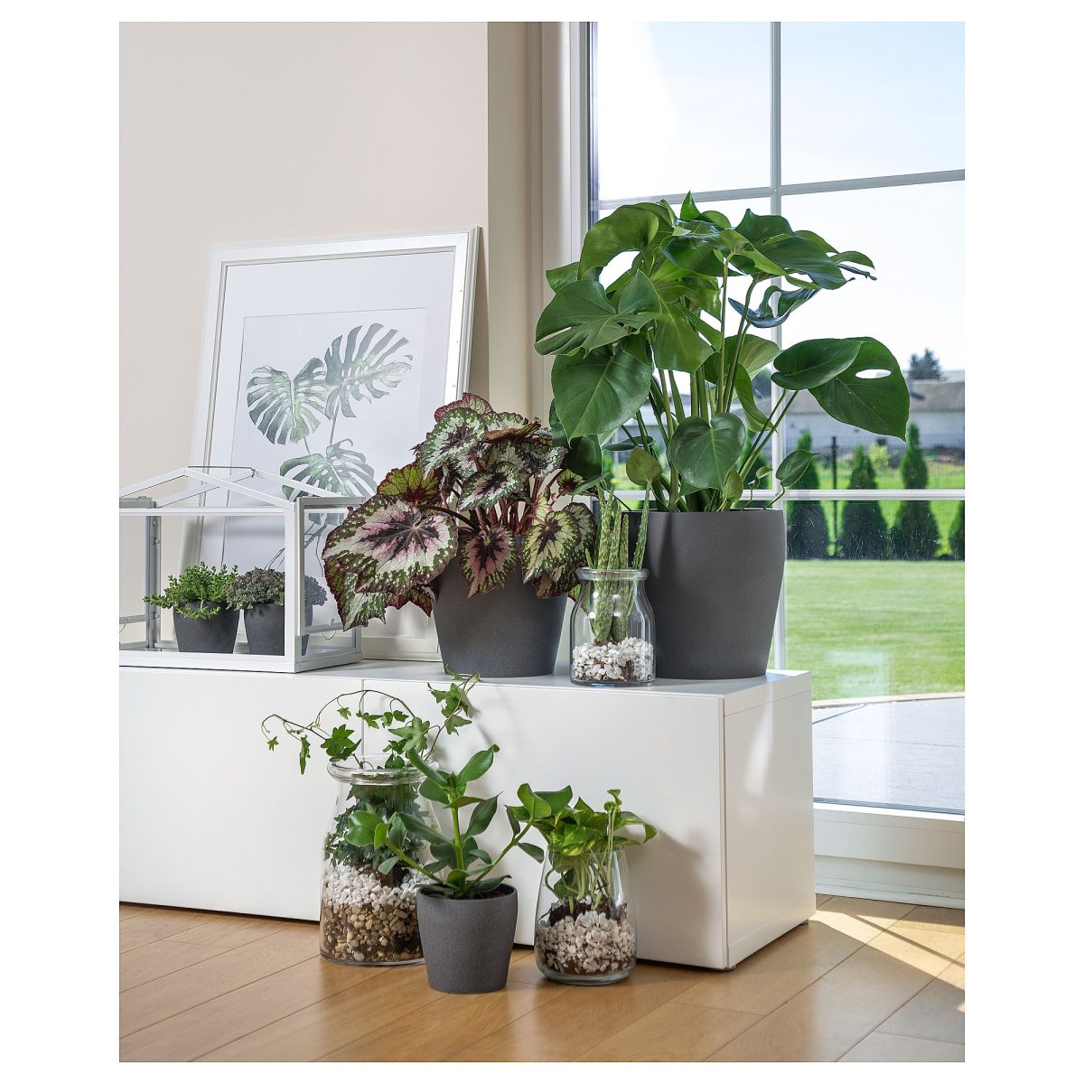Toprak Saksı, Koyu Gri, 24 cm – 4. görsel