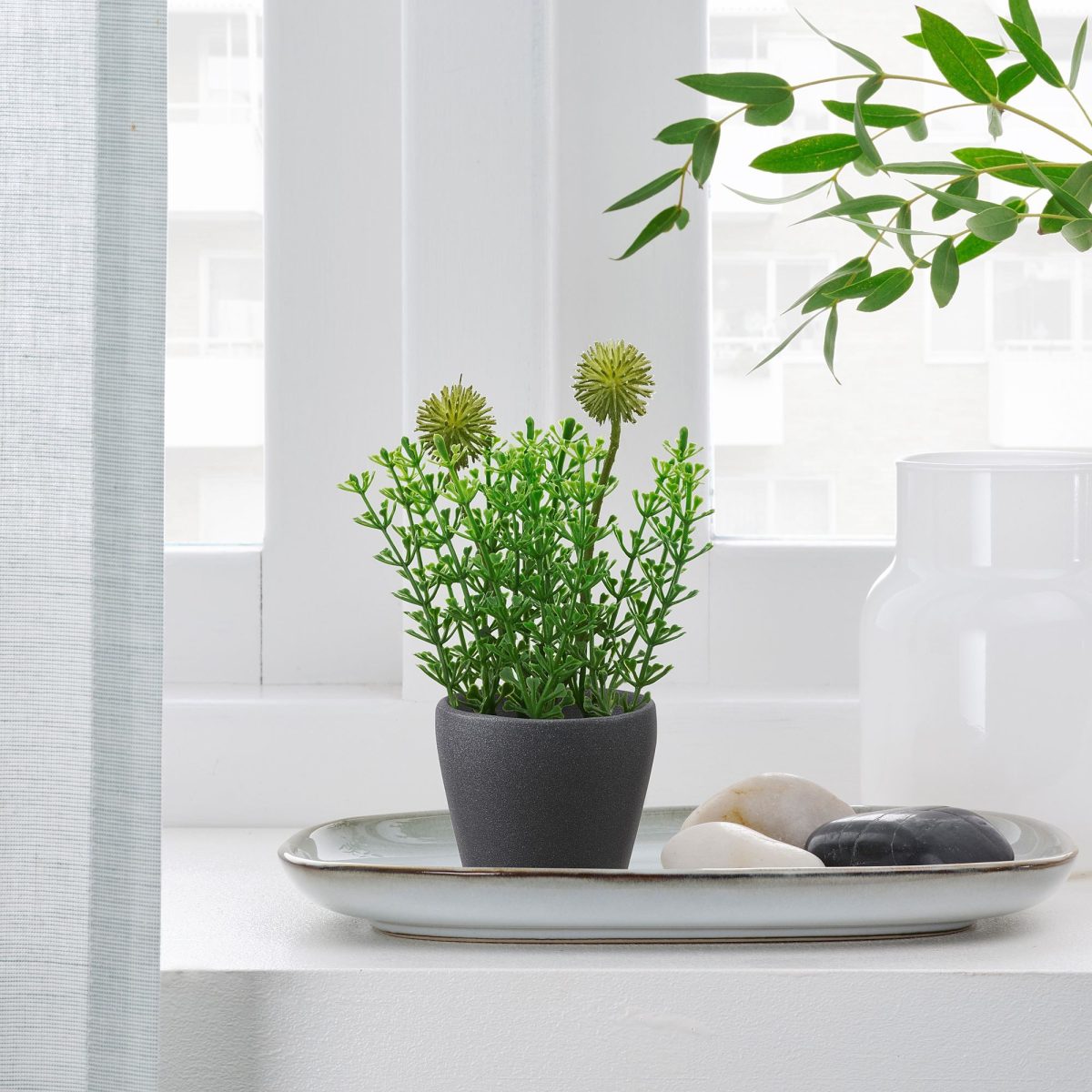 Toprak Saksı, Koyu Gri, 6 cm – 2. görsel
