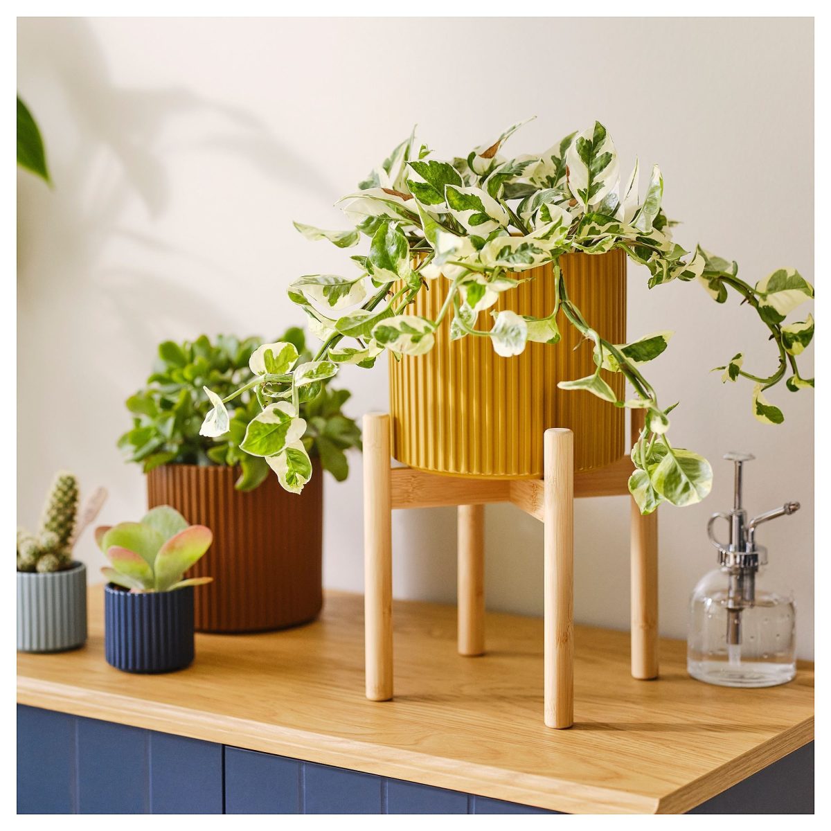 Toprak Saksı, Sarı-Kahverengi, 2'li Set – 2. görsel