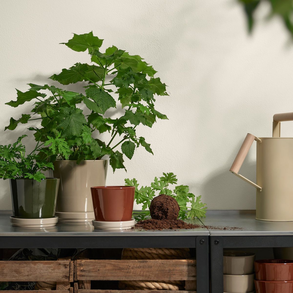 Toprak Saksı, Yeşil-Bej, 15 cm, İç/Dış Mekan – 2. görsel