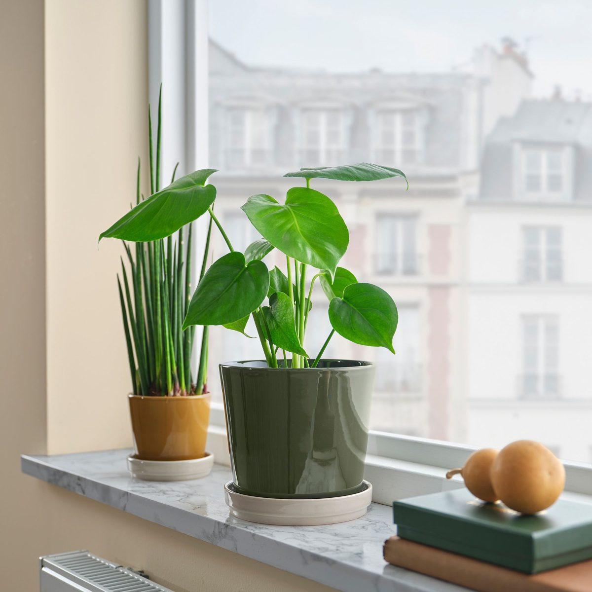 Toprak Saksı, Yeşil-Bej, 15 cm, İç/Dış Mekan – 4. görsel