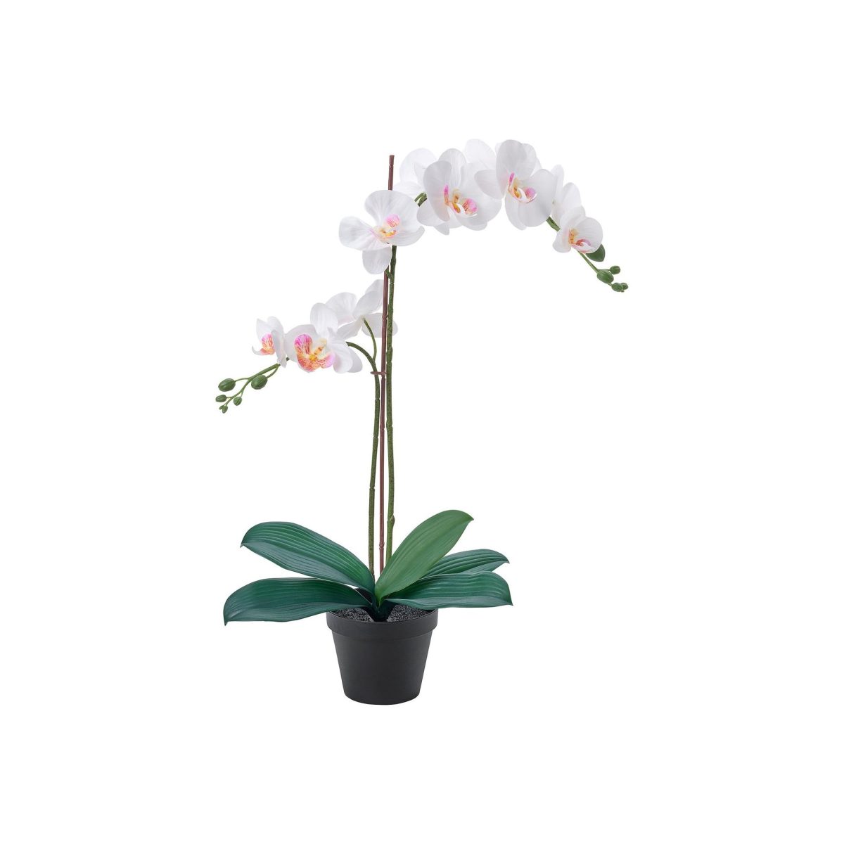 Yapay Bitki, Beyaz, 12 cm, Orkide