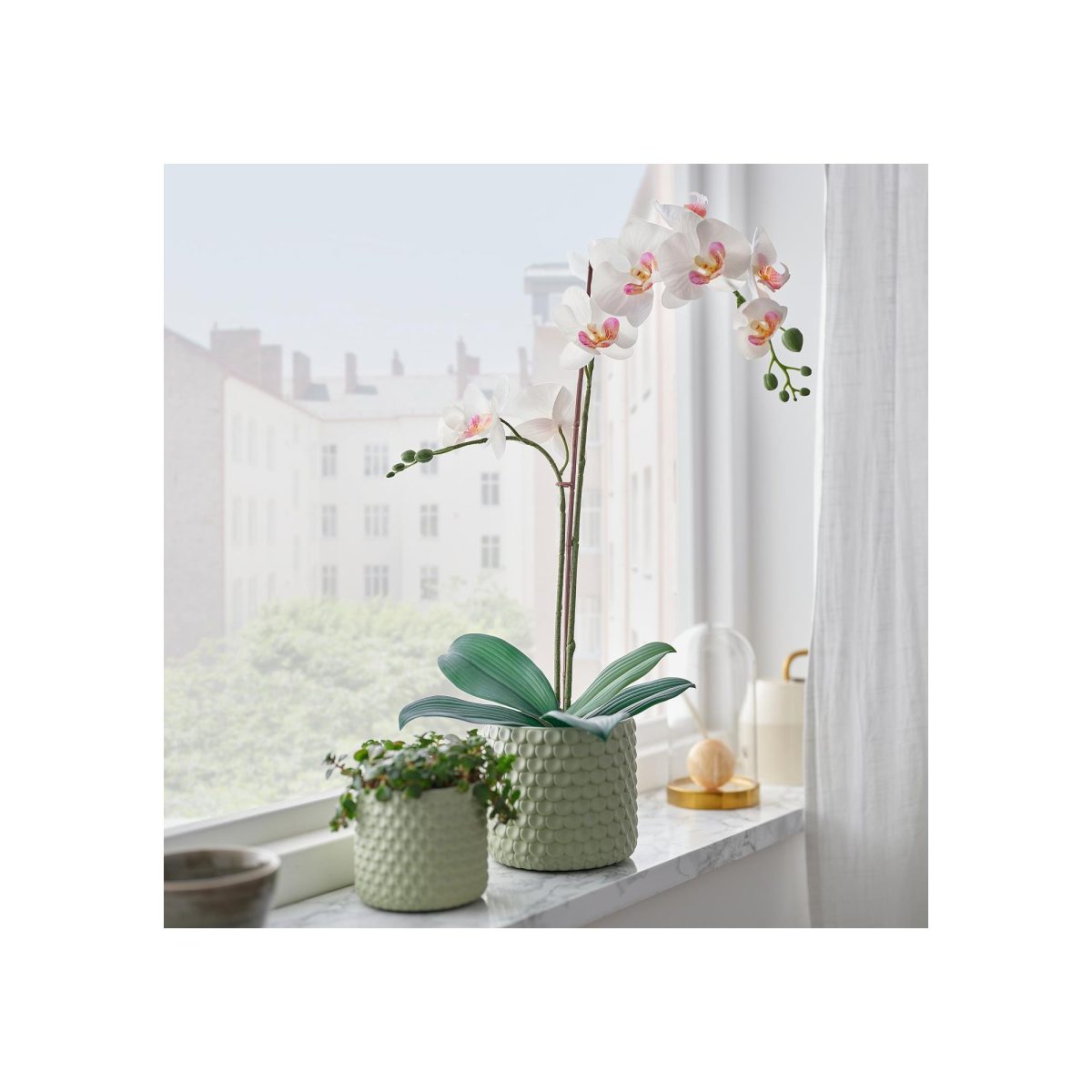 Yapay Bitki, Beyaz, 12 cm, Orkide – 2. görsel