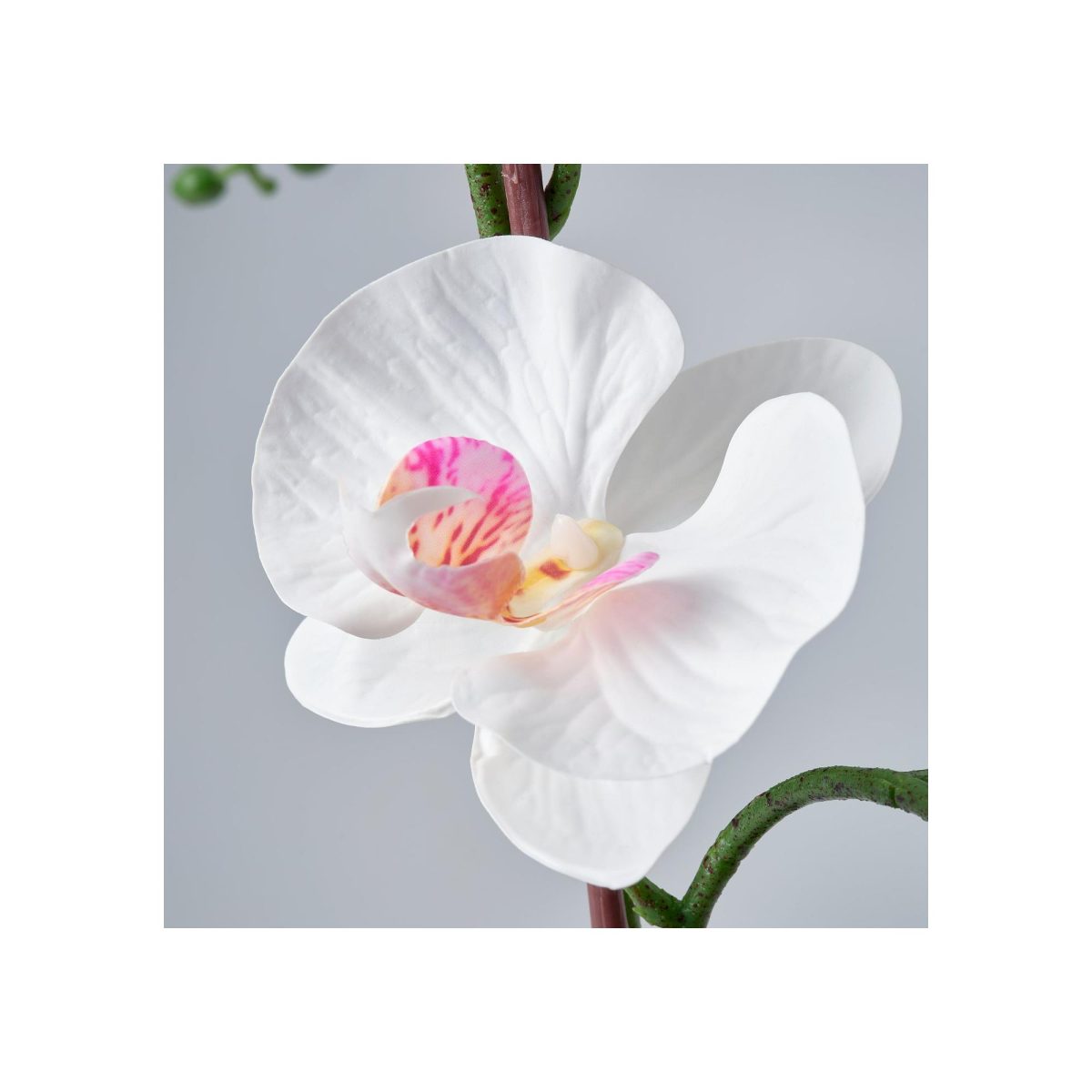 Yapay Bitki, Beyaz, 12 cm, Orkide – 3. görsel