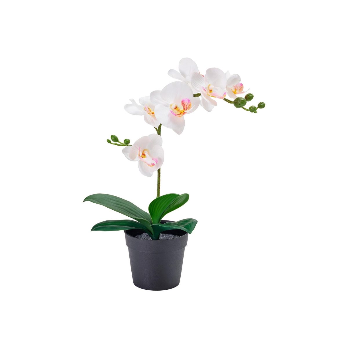 Yapay Bitki, Beyaz, 9 cm, Orkide – 2. görsel