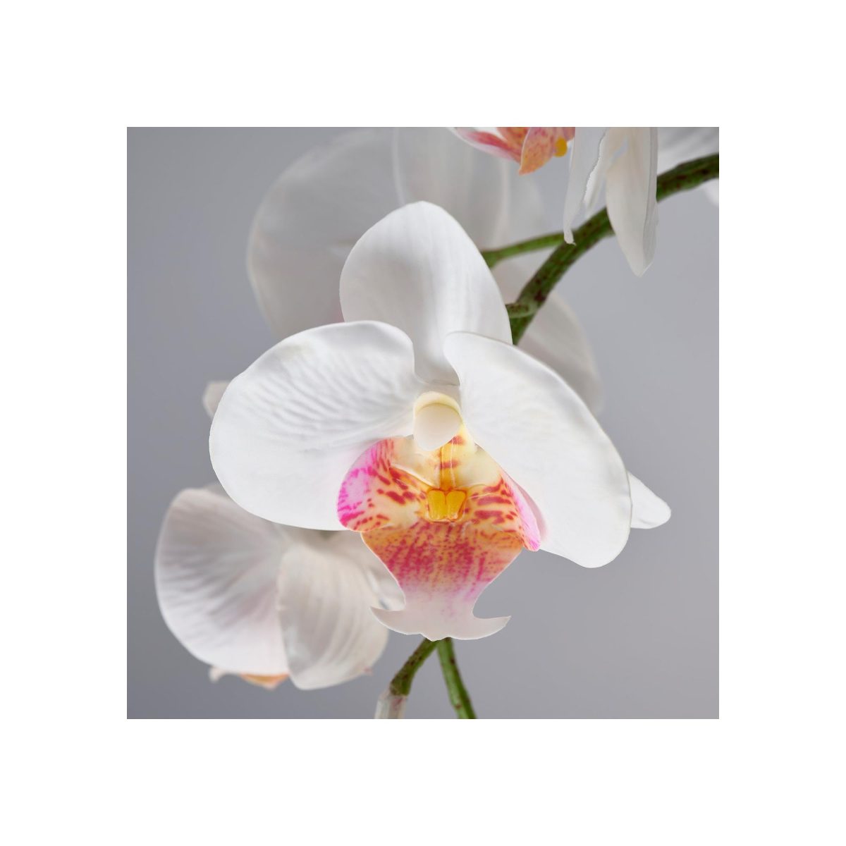 Yapay Bitki, Beyaz, 9 cm, Orkide – 3. görsel