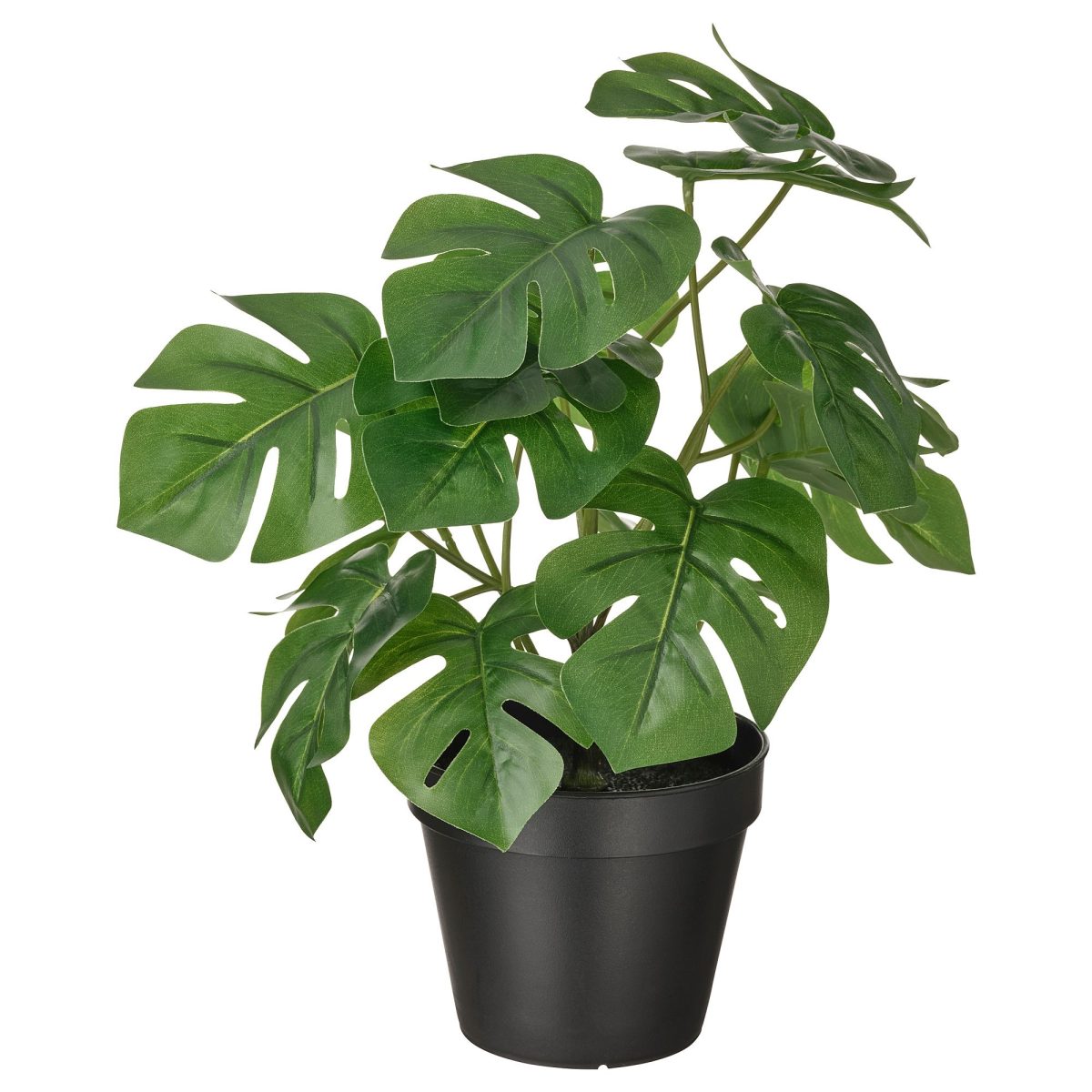 Yapay Bitki, Yeşil, 12 cm, Monstera, İç-Dış Mekan