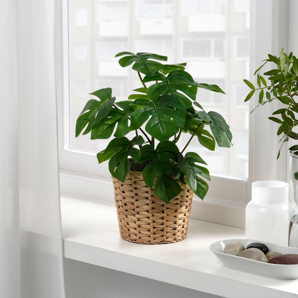 Yapay Bitki, Yeşil, 12 cm, Monstera, İç-Dış Mekan – 2. görsel