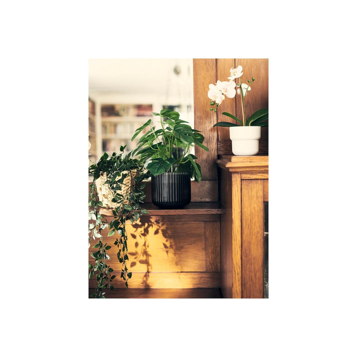 Yapay Bitki, Yeşil, 12 cm, Monstera, İç-Dış Mekan – 3. görsel