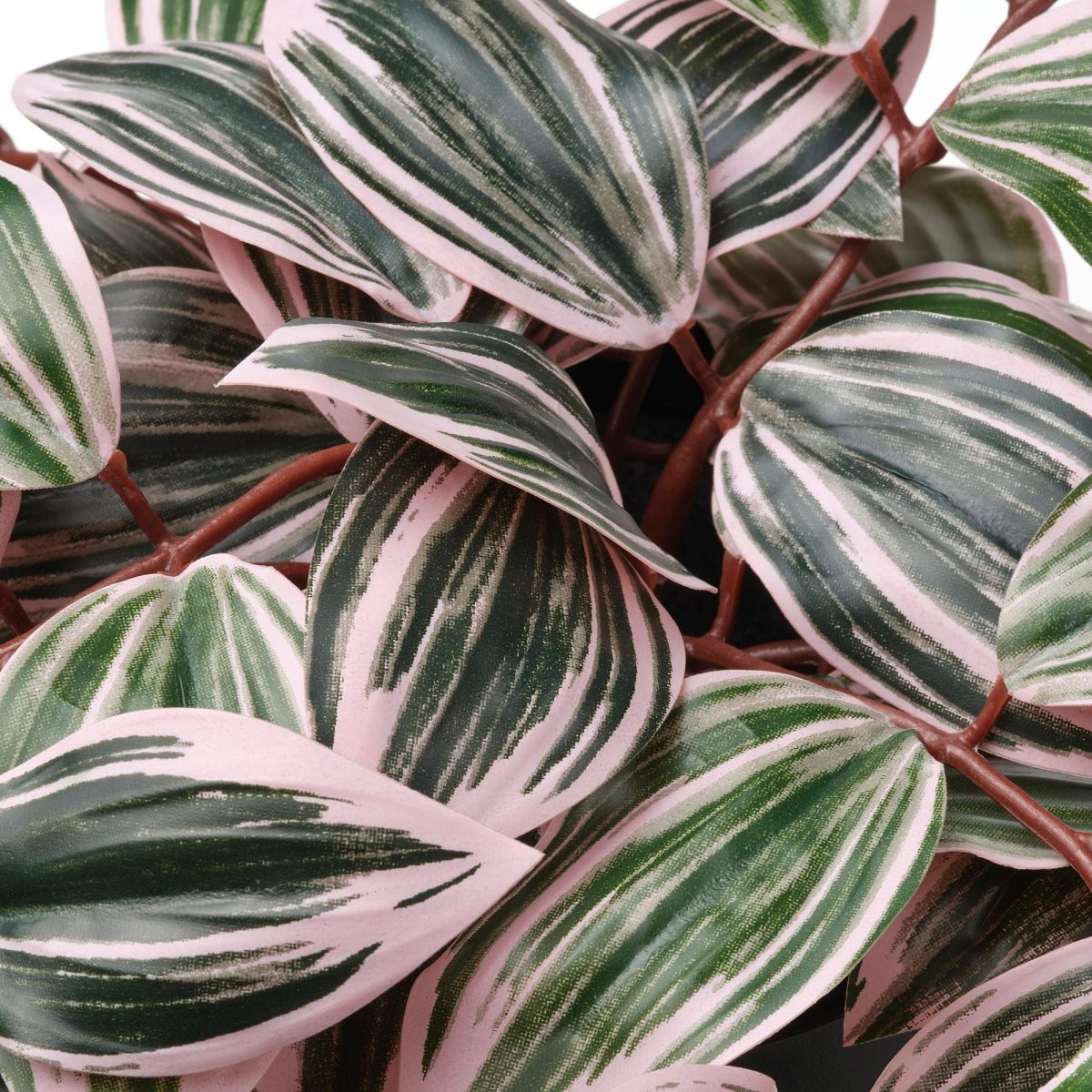 Yapay Bitki, Yeşil, 12 cm, Tradesceantia, İç/Dış Mekan – 3. görsel