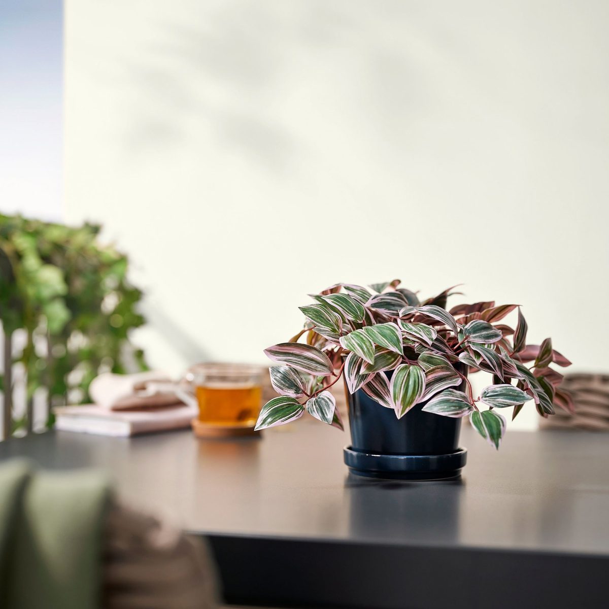 Yapay Bitki, Yeşil, 12 cm, Tradesceantia, İç/Dış Mekan – 4. görsel