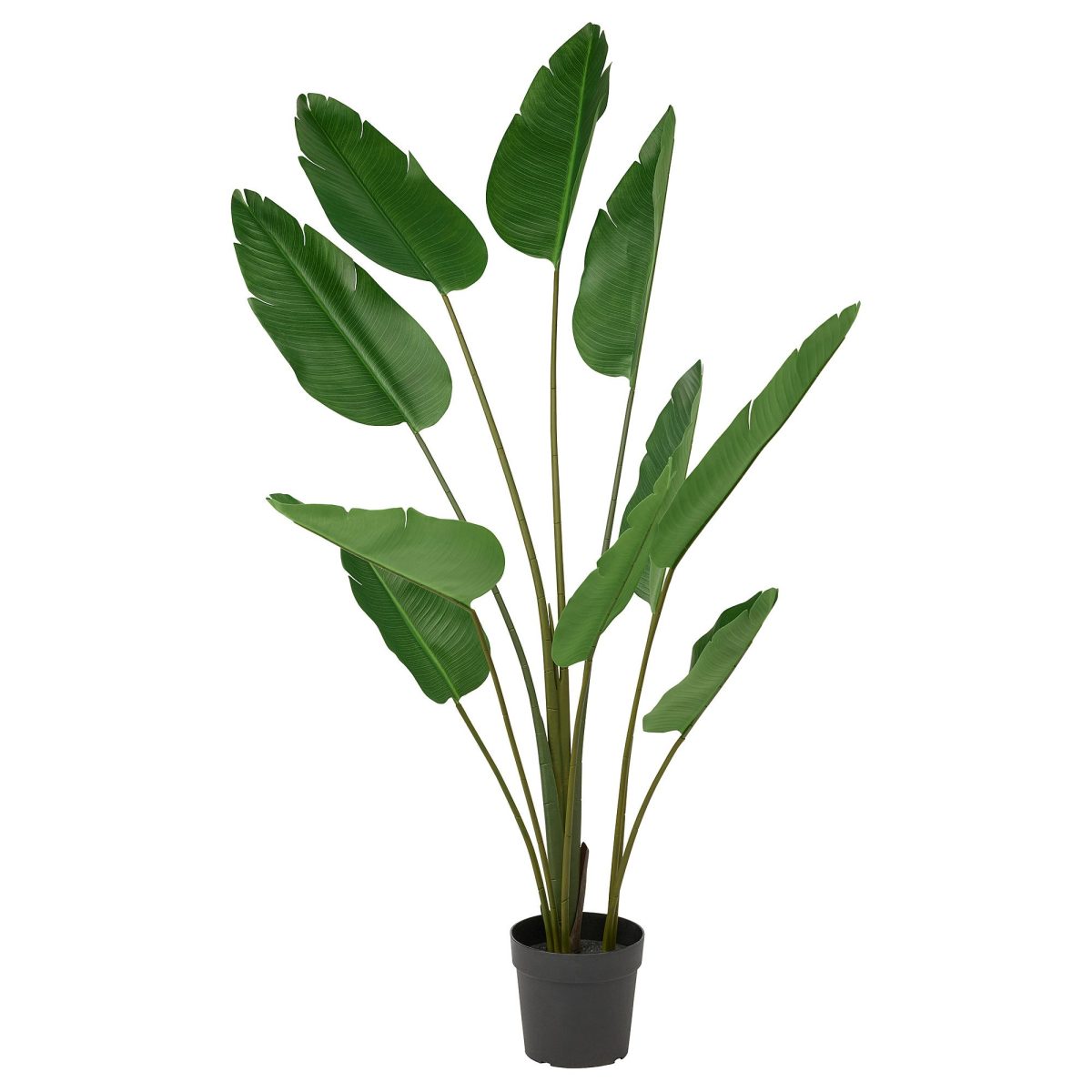 Yapay Bitki, Yeşil, 23 cm, Cennet Kuşu, İç/Dış Mekan