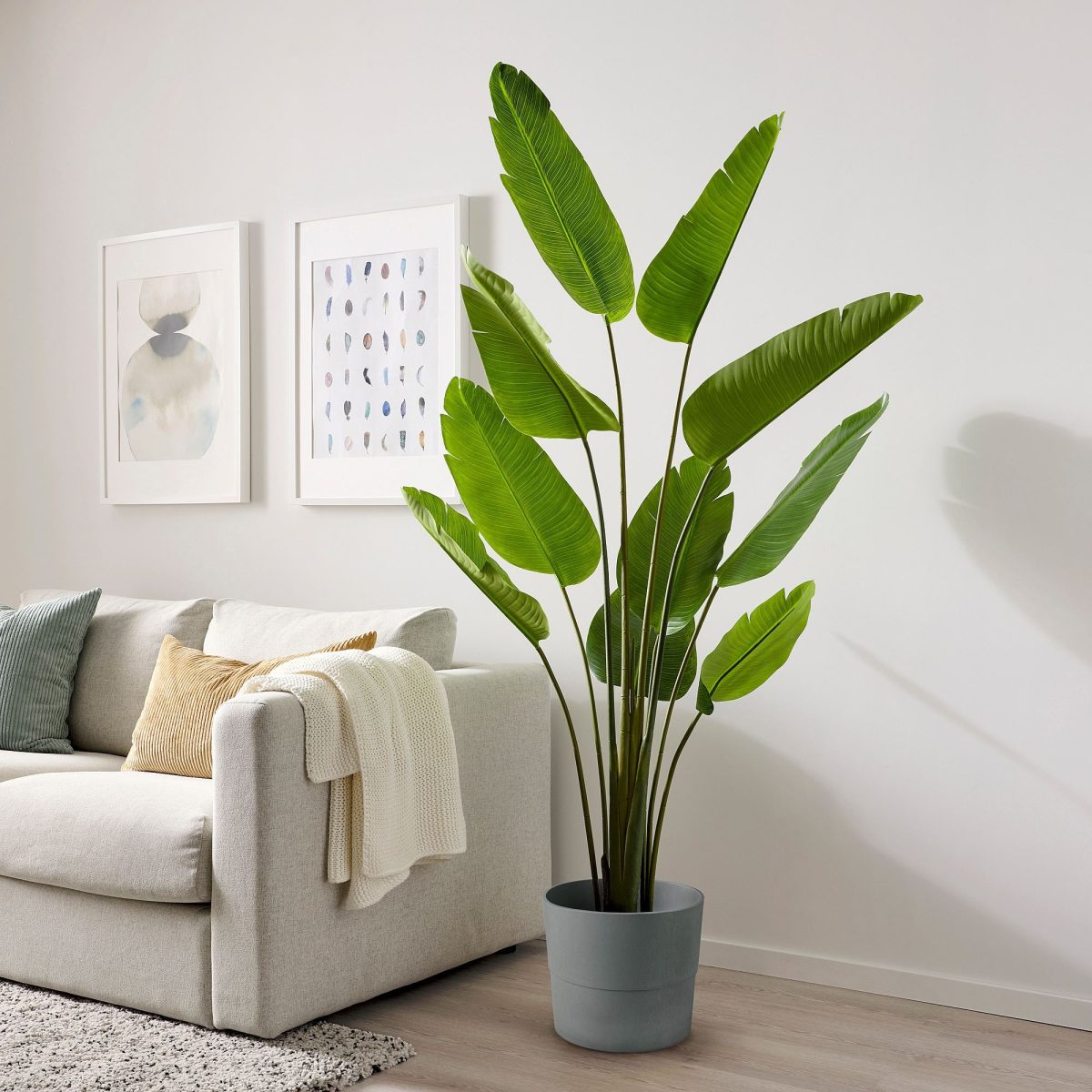 Yapay Bitki, Yeşil, 23 cm, Cennet Kuşu, İç/Dış Mekan – 3. görsel