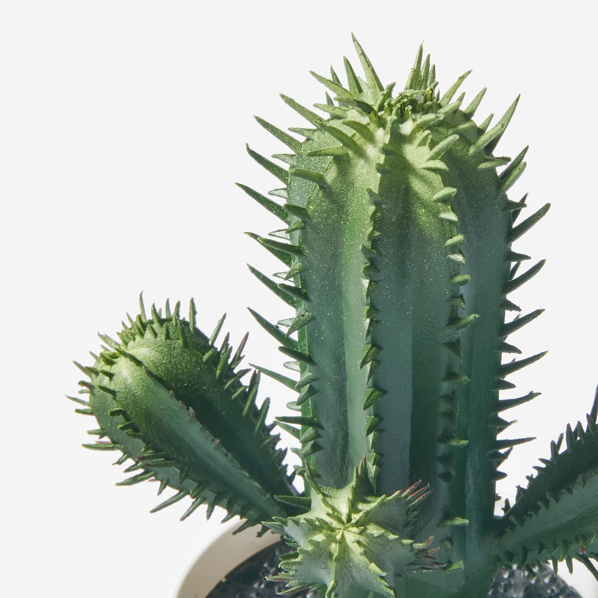 Yapay Bitki, Yeşil, 6 cm, Kaktüs, İç/Dış Mekan – 3. görsel