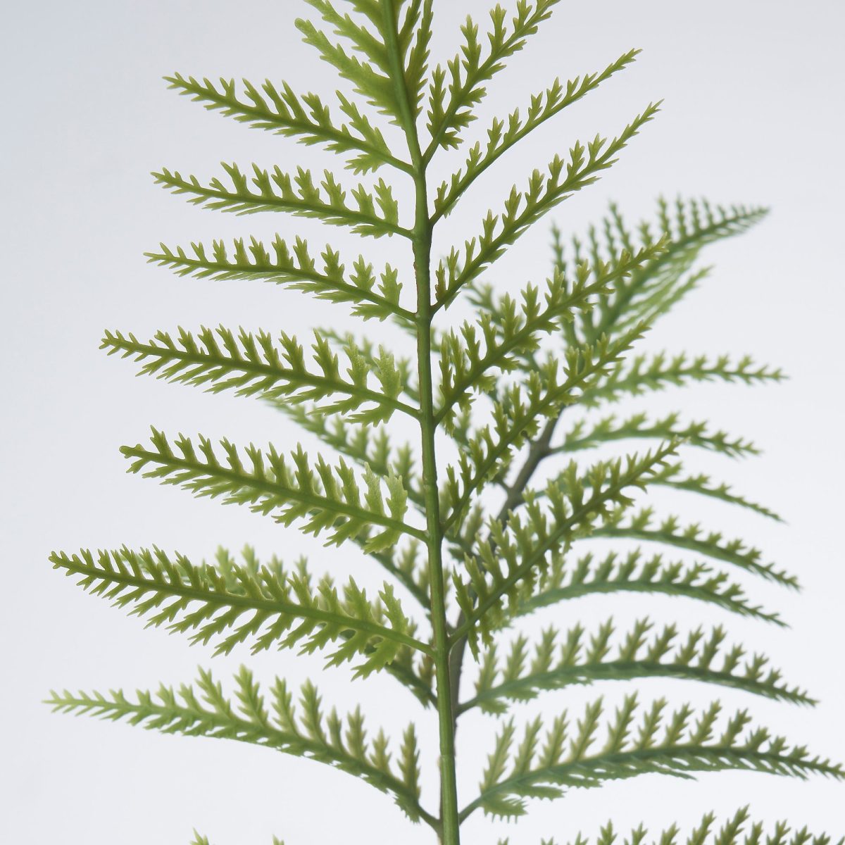 Yapay Çiçek, Yeşil, 63 cm, Eğriltiotu – 4. görsel