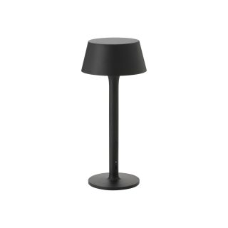 LED'li Dekoratif Aydınlatma, Siyah, 29 cm