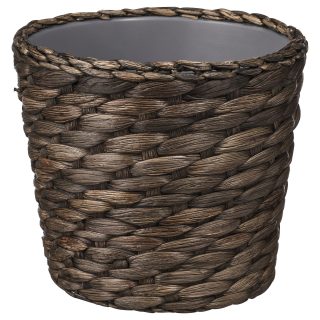 Rattan Saksı, Su Sümbülü, 12 cm
