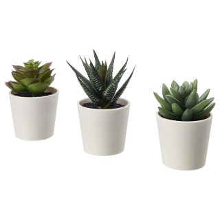 Saksılı Yapay Bitki, Yeşil, 6 cm, 3 adet, Kaktüs