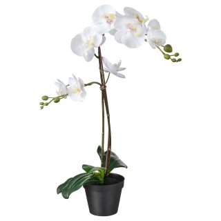 Yapay Bitki, Beyaz, 12 cm, Orkide