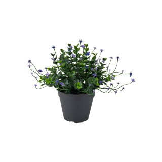 Yapay Bitki, Yeşil, 12 cm, Çiçekli Lila, İç/Dış Mekan