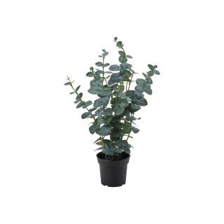 Yapay Bitki, Yeşil, 15 cm, Okaliptüs, İç-Dış Mekan