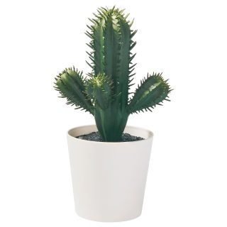 Yapay Bitki, Yeşil, 6 cm, Kaktüs, İç/Dış Mekan