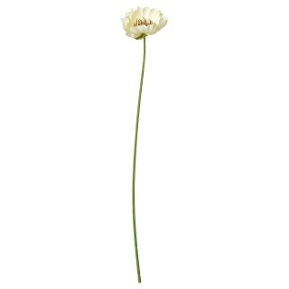 Yapay Çiçek, Beyaz, 51 cm, Gelincik, İç-Dış Mekan