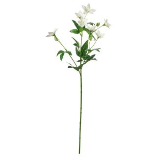 Yapay Çiçek, Beyaz, 60 cm, Lalegül, İç-Dış Mekan