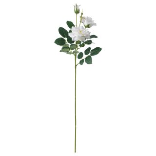 Yapay Çiçek, Beyaz, 65 cm, Gül