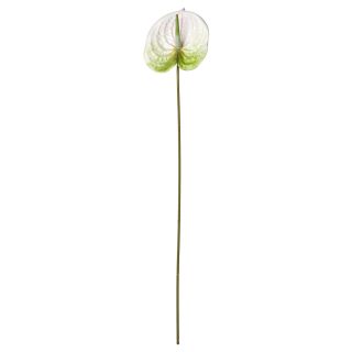 Yapay Çiçek, Beyaz, 66 cm, Anthurium, İç-Dış Mekan